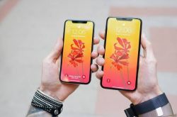 科技晚报：苏宁下调iPhone XS系列